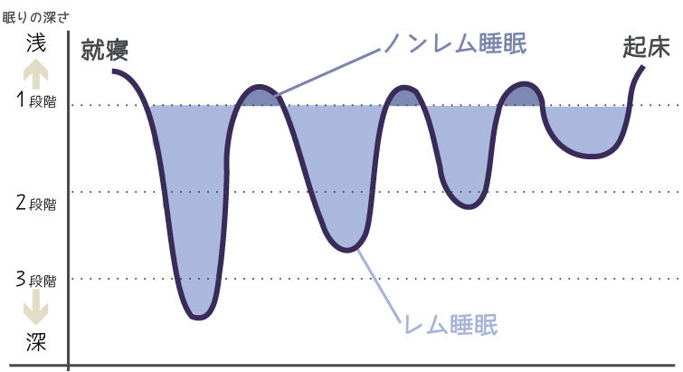 ノンレム睡眠・レム睡眠～ – 睡眠てらす