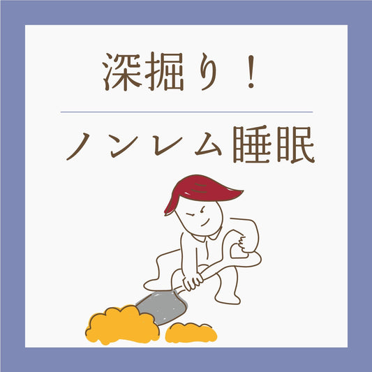 深堀り！ノンレム睡眠