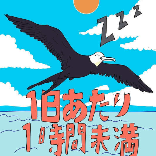 「それで寝られるの？」動物たちの“非常識”な睡眠スタイル 睡眠・快眠・安眠のヒントは、自然界の「寝方の工夫」にあった