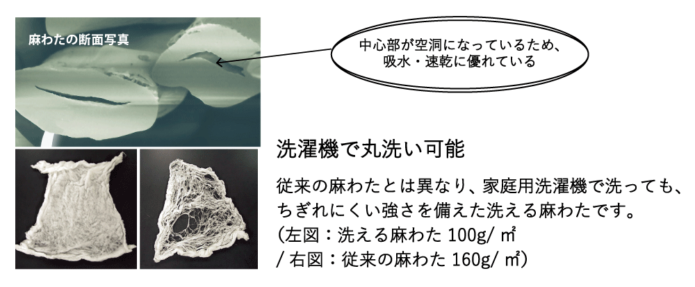 検証データの図表